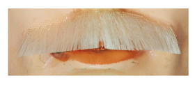 Lacey Wigs LW352 M61 Mustache - Blend
