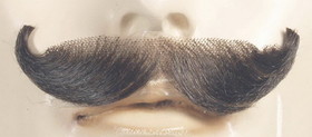 Lacey Wigs LW410 English Mustache - Blend