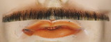 Lacey Wigs LW415 Errol Flynn Mustache - Human Hair