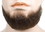 Lacey Wigs LW420ABL 5-Point Beard - Human Hair