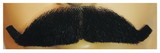 Lacey Wigs LW434 Edwardian M34 Mustache - Human Hair