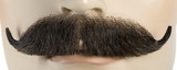 Lacey Wigs LW436 Edwardian M35 Mustache - Human Hair