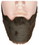 Lacey Wigs LW438BK Men's Bargain Full-Face Beard