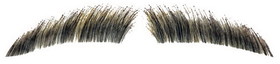 Lacey Wigs LW621 Men's Eyebrows - Human Hair