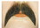 Lacey Wigs LW639DBNGY Mustache Walrus - Blend