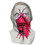 Morris Costumes MA1031 Day Of The Dead Do Ct.er Mask