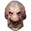 Morris Costumes MABFMGM100 Adult Pumpkinhead Mask
