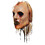 Morris Costumes MAJMFOX100 Adult's American Horror Story: Asylum Bloody Face Mask