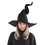 Morris Costumes MR-156218 Fancy Witch Hat