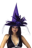 Morris Costumes MR-167066 Witch Hat Purple Satin W Feath