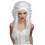 Morris Costumes MR177008 White Spirit Nightmare Wig
