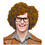 Morris Costumes MR178078AU Adult's Reddish Brown Curly Wig