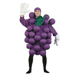 Morris Costumes Men's Grapes Costume Standard