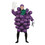 Morris Costumes PA9500 Men's Purple Grapes Costume - Standard