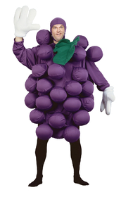 Morris Costumes PA-9500 Grapes Purple Adult Costume