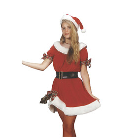 Rubie's RU25521 Adult's Standard Ms. Santa Costume