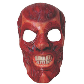 Rubie's RU4240 Skinner Mask