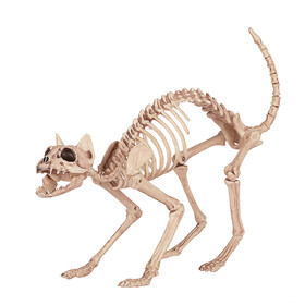 Morris Costumes SE18071 Skeleton Cat
