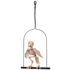 Morris Costumes SEW80039 Skeleton Parrot on a Perch Halloween Decoration