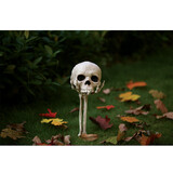 Seasons USA SEW80696 Skull in Hand Ground Breaker Lawn Decoration