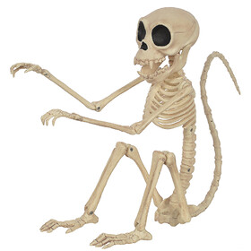 Morris Costumes SEW80787 Monkey Skeleton