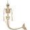 Morris Costumes SEW81272 Mermaid Skeleton Decoration