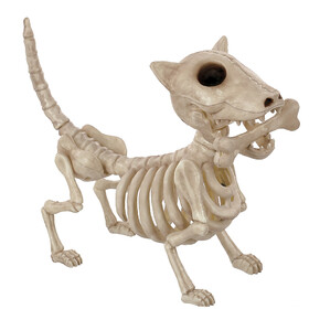 Seasons USA SEW81691 11" Digger The Skeleton Dog Decoration