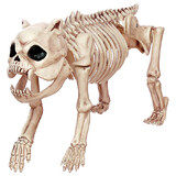 Seasons USA SEZ18986 Bones the Dog Skeleton Halloween Decoration
