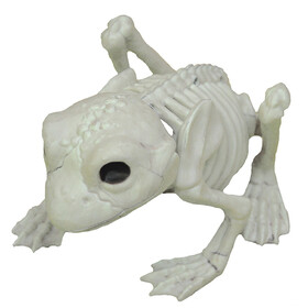 Morris Costumes SEZ28044 Frog Skeleton Decoration