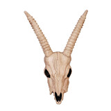 Morris Costumes SE-Z28051 Skeleton Gazelle Head