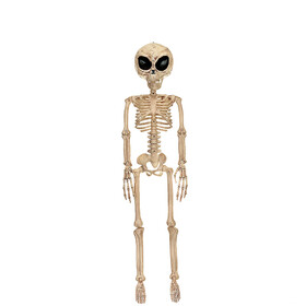 Morris Costumes SEZ28054 37" Alien Skeleton Decoration