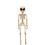 Morris Costumes SEZ28054 37" Alien Skeleton Decoration