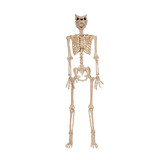 Morris Costumes SEZ28269 5 Ft. Werewolf Skeleton Halloween Decoration