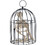 Morris Costumes SEZ53042 Skeleton Crow in a Cage