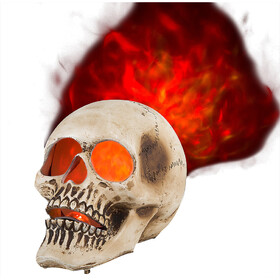 Gemmy Industiries SS227546G Blazing Scenes Realistic 10" Skull with Fire &amp; Ice Lighted D&#233;cor