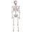 Morris Costumes SS39287 5 Ft. Skeleton Pose &amp; Hold Halloween Decoration