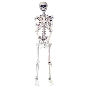 Morris Costumes SS39287 5 Ft. Skeleton Pose &amp; Hold Halloween Decoration