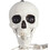 Morris Costumes SS39287 5 Ft. Skeleton Pose &amp; Hold Halloween Decoration