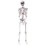 Morris Costumes SS39287 5 Ft. Skeleton Pose &amp; Hold Halloween Decoration