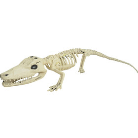 Sunstar SS60937 Alligator Skeleton Halloween Decoration
