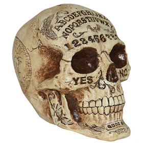 Sunstar SS64353 7" Fortune Telling Skull Halloween Decoration