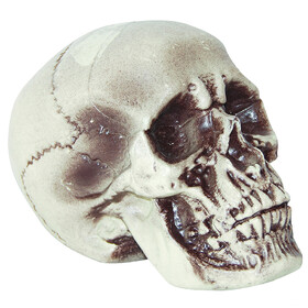 Morris Costumes SS-72202 Realistic Skull 7 Inches