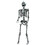 Morris Costumes SS72611 5' Steel Gray Skeleton Halloween Decoration