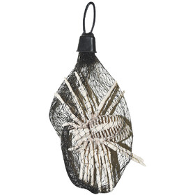 Sunstar SS79165 5" Spider Skeletons - Bag of 3