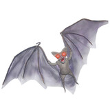 Morris Costumes SS87076 Light-Up Demon Bat Halloween Décor