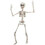 Morris Costumes SS89504 19" Poseable Skeleton Decoration