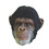 Morris Costumes TA507 Adult's Realistic Chimp Mask