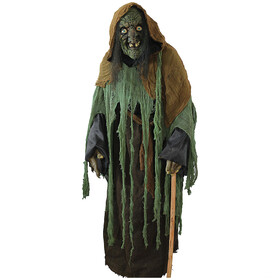 Ghoulish TB25241 Adult Witch Ghoul Costume