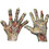 Morris Costumes TB25307 Adult's Rotted Zombie Hands