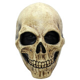 Morris Costumes TB26157 Adult's Bone Skull Mask